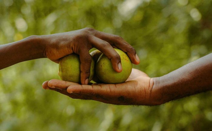 découvrez les plateformes de partage qui révolutionnent notre façon d'échanger des biens, des services et des expériences. facilitez vos interactions et maximisez vos ressources grâce à l'économie collaborative.