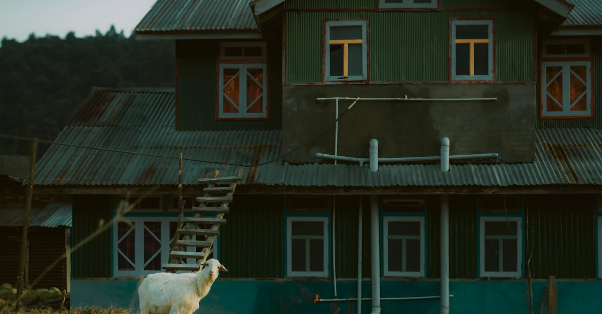 découvrez comment les partenariats locaux peuvent transformer votre communauté, favoriser l'innovation et renforcer les liens entre entreprises et citoyens. explorez les avantages et les opportunités de collaboration pour un développement durable et dynamique.