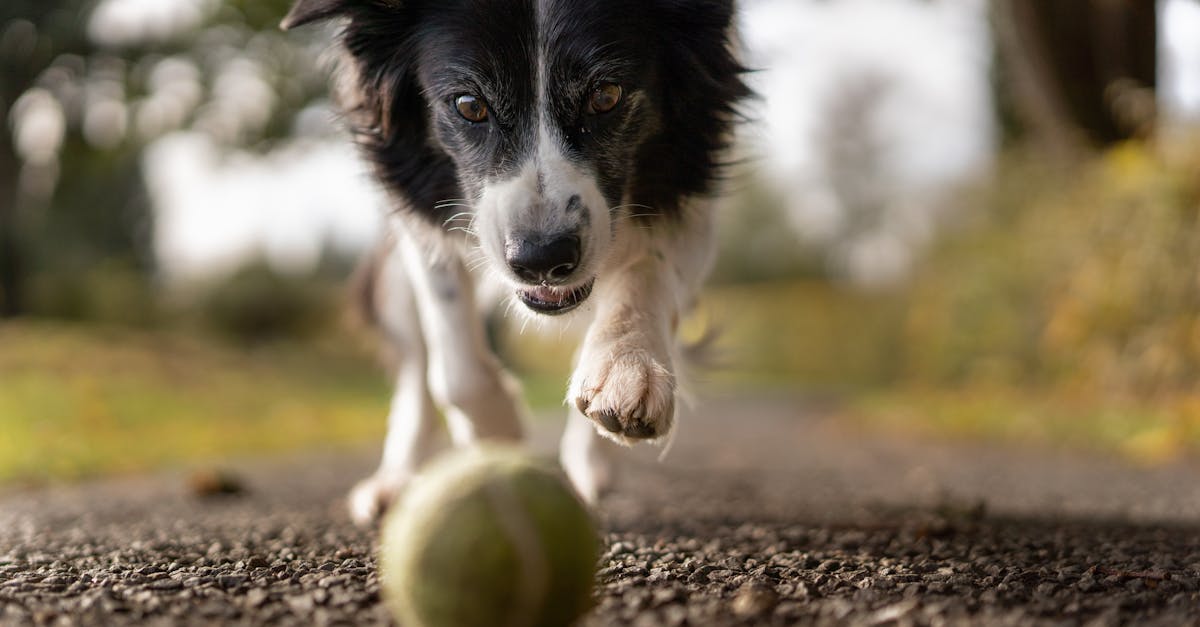 découvrez les principes et les pratiques de la méthodologie agile, conçue pour améliorer la collaboration, l'efficacité et la flexibilité des équipes dans le développement de projets. apprenez comment appliquer agile pour optimiser vos processus et atteindre vos objectifs plus rapidement.