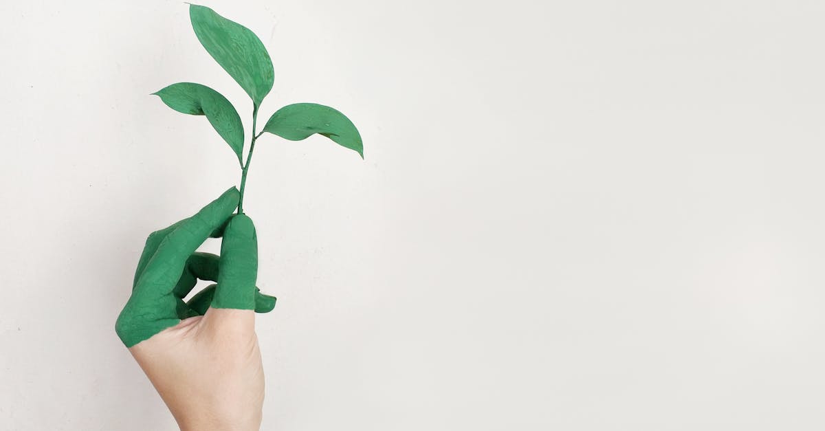 Les clés du développement durable : pourquoi c’est essentiel pour notre avenir