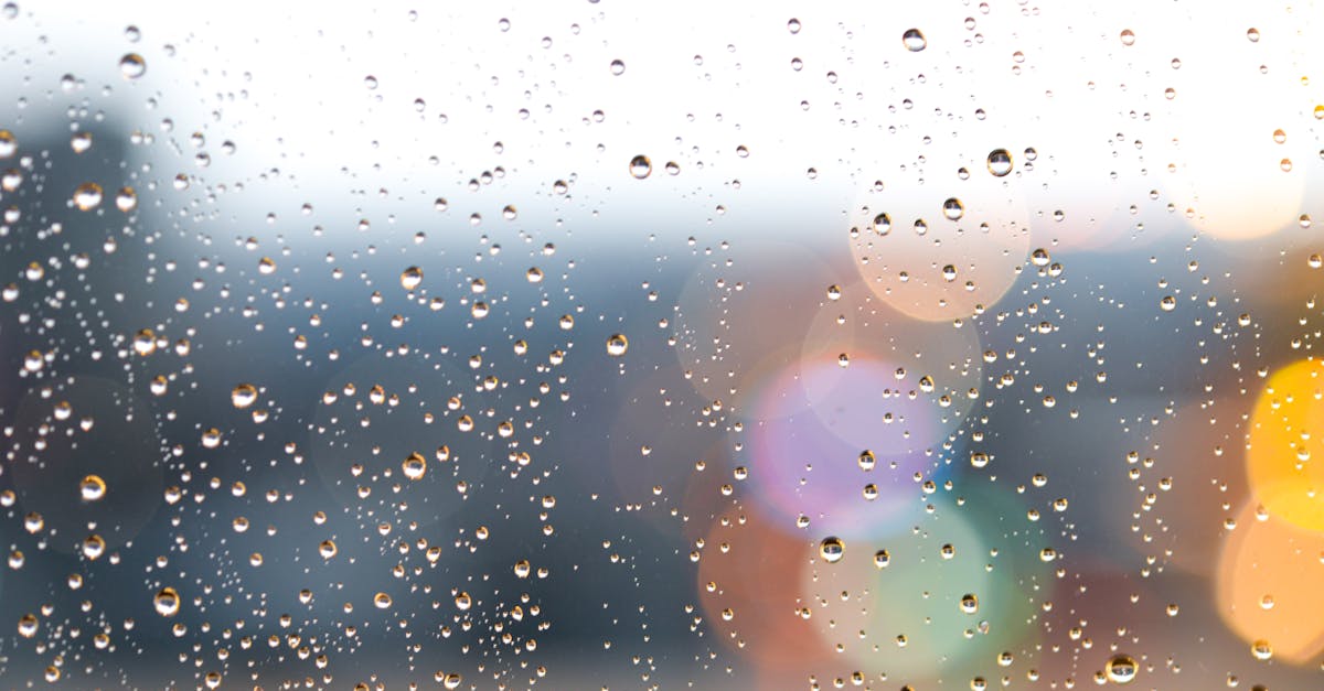 Rendre compte : L’importance de la transparence dans la communication