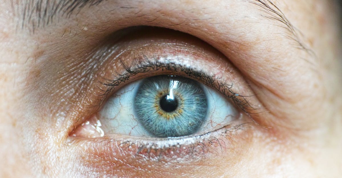 Comprendre la vision : enjeux et perspectives pour la santé oculaire