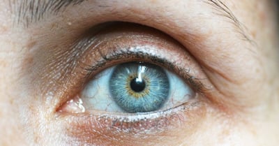 Comprendre la vision : enjeux et perspectives pour la santé oculaire