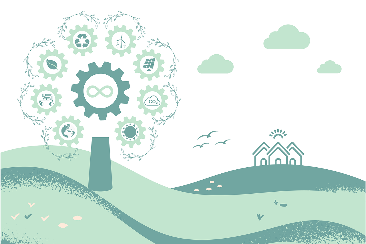 Meilleures pratiques de conservation pour un avenir durable